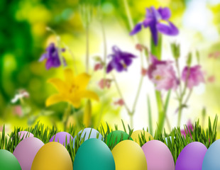 aster eggs in grass, butterfly on sky background and flowers