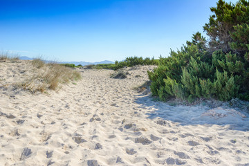 Fototapeta na wymiar Nearby sandy beaches of the Balearic Islands.