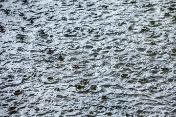 Raindrops on a water surface while a heavy rainfall - stormy weather background