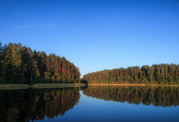 Summer evening at a forest lake