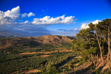 Scenic view of summer Crete Greek Island with olive tree plantations and mountains in background