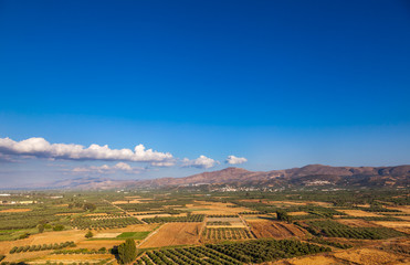 Scenic view of summer Crete Greek Island with olive tree plantations and mountains in background
