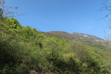 Vue sur la Chartreuse