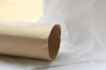 brown hard tissue paper core on white background