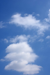 Fototapeta premium 青空と不思議な雲（連鎖、連結などのイメージ）