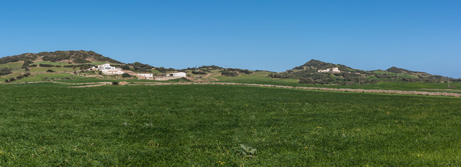 Panoramic view of the farms in the meadows of Menorca