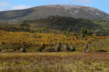Obraz premium Landschaft Tasmanien
