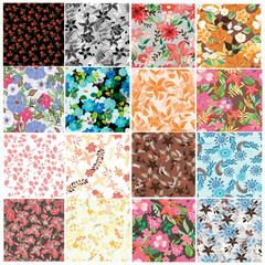 Set  seamless flowers pattern