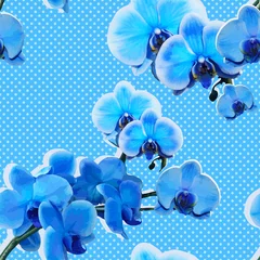 Zelfklevend Fotobehang Seamless pattern with blue orchids © sunny_lion