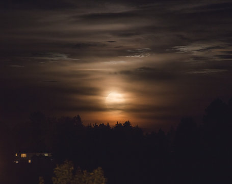 Moon in Cloudy Sky Over Trees
