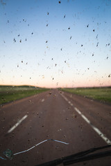 Bugs on a windshield with highway background