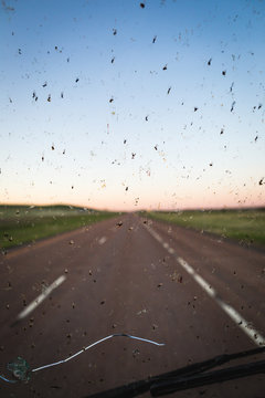 Bugs on a windshield with highway background