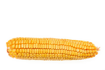 corn