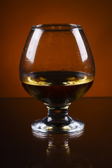 wineglass of cognac on a orange gradient background