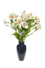 Naklejka na ściany i meble Alstroemeria flowers in a vase