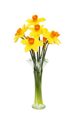 Daffodil arrangement in a vase
