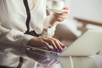 Woman drinking coffee, using laptop