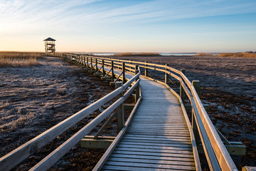 Fototapeta premium wooden boardwalk with bird watch tower in early morning