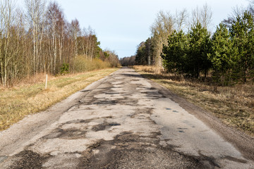 empty country road in forest