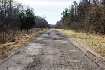 empty country road in forest