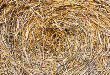 Cluster straw, truss straw abstract background