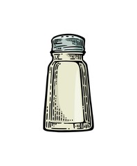 Salt shaker. Vintage color vector engraving illustration