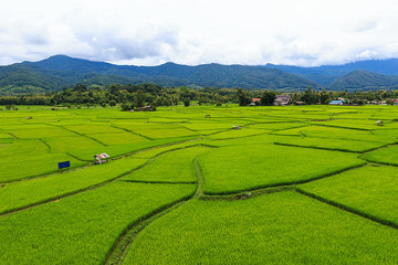 Rice fields with mountain on terraced in nan province, northern of thailand