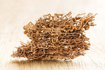 Wood plank eaten by termite
