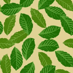 Naklejka na ściany i meble Seamless pattern from the leaves of coffee. Vector.