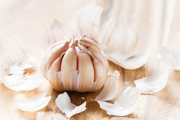 Organic garlic bulb