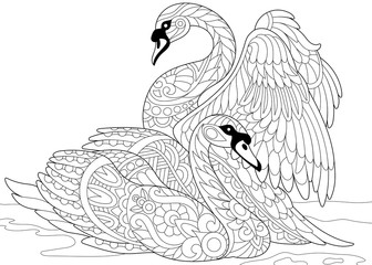 Stylized couple of swans swimming in the pond or lake water. Freehand sketch for adult anti stress coloring book page with doodle and zentangle elements.