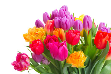 bouquet of bright spring tulips close up isolated on white background