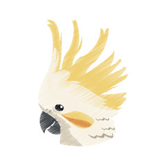 cockatoo exotic bird icon image vector illustration design 