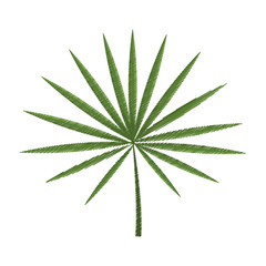Naklejka na ściany i meble tropical leaf icon image vector illustration design 