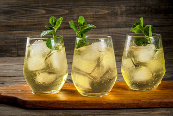 Traditional Spanish alcoholic drink, Rebujito cocktail - white wine, carbonated water (soda), mint,...