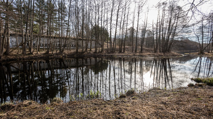 reflections of trees in the lake water