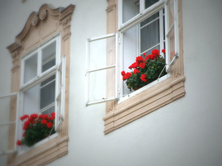 Balkonblumen! Rote Blumen am Fenster, altes Gebäude mit Blumen.