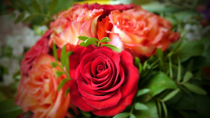 Blumenstrauß! Roter Bluemenstrauß mit grüne Blätter, Rote Rosen
