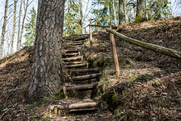 wooden boardwalk with bird watch tower in early morning