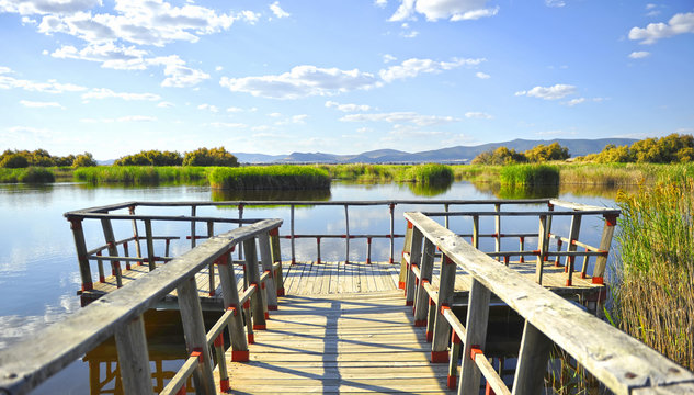 Parque Nacional de las Tablas de Daimiel, Castilla la Mancha, Espa&ntilde;a