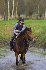 cross county horse jumping over bars by teenager girl
