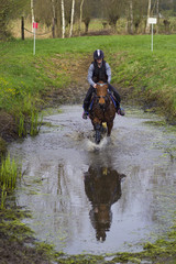 cross county horse jumping over bars by teenager girl
