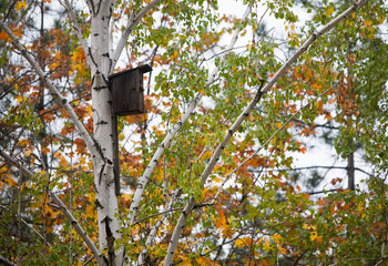 Wooden birdhouse on a tree