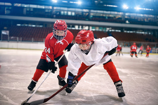 children play ice hockey.