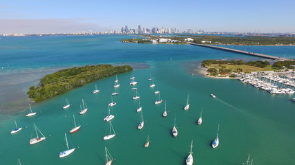 Miami Skyline