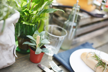 a hot dog bun served on the white plate, an empty glass and an eden collection plant