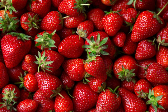Red ripe organic strawberries.
