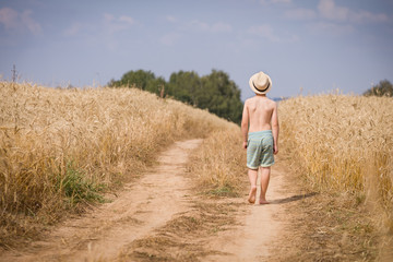 Naklejka na ściany i meble Back view on cute kid boy in straw hat walking along countryside