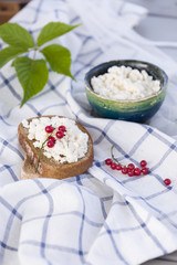 Organic Farming Cottage cheese in a green bowl, slice of whole wheat bread with Homemade Ricotta cheese served with red currant on wooden board  on linen fabric