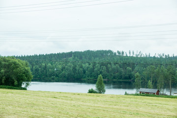 Lapland camping in the forrest of finland
